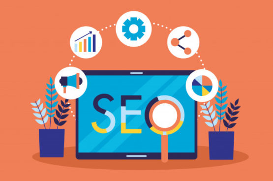 seo6 seo6